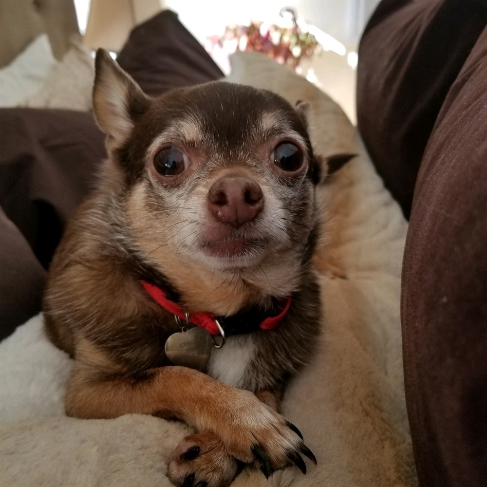 Meet your Posher, Lorraine